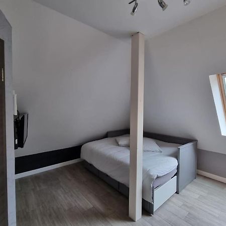 Studio De La Demi Lune Plobsheim Zewnętrze zdjęcie